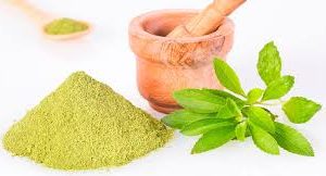 Organic Stevia Powder 100g
